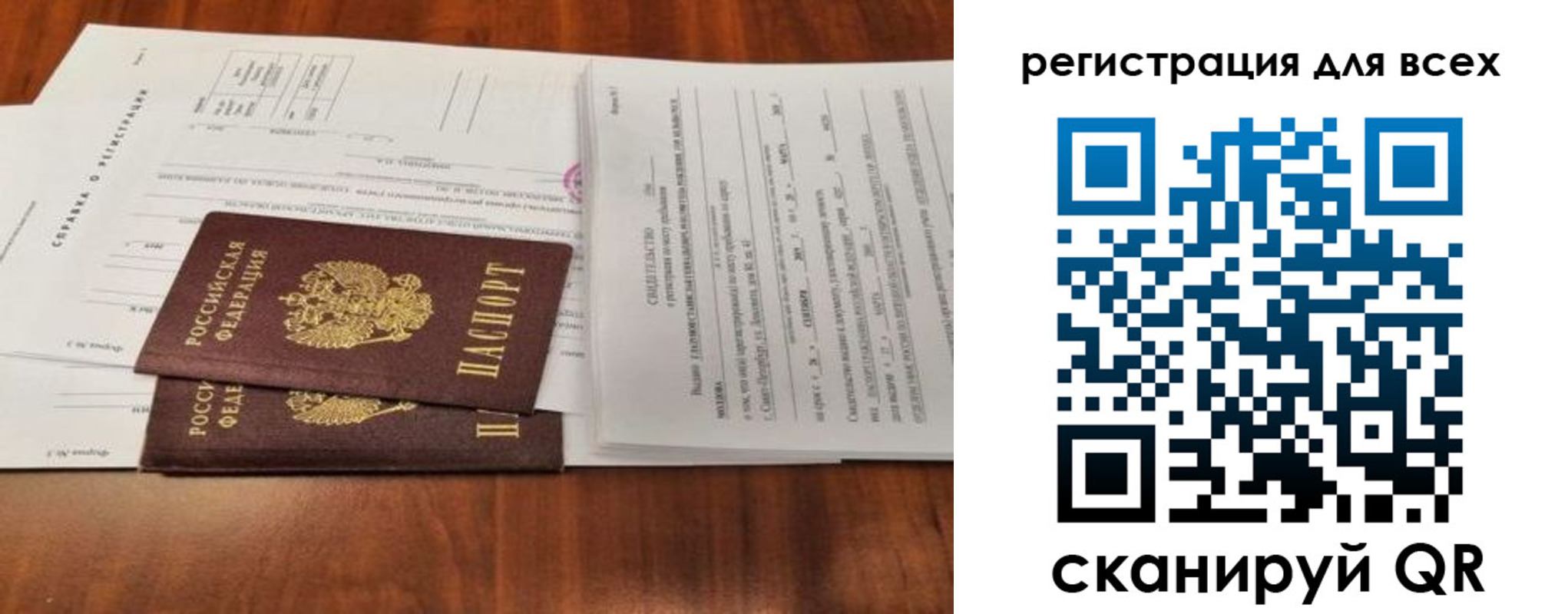 прописка ребенка в Светлом